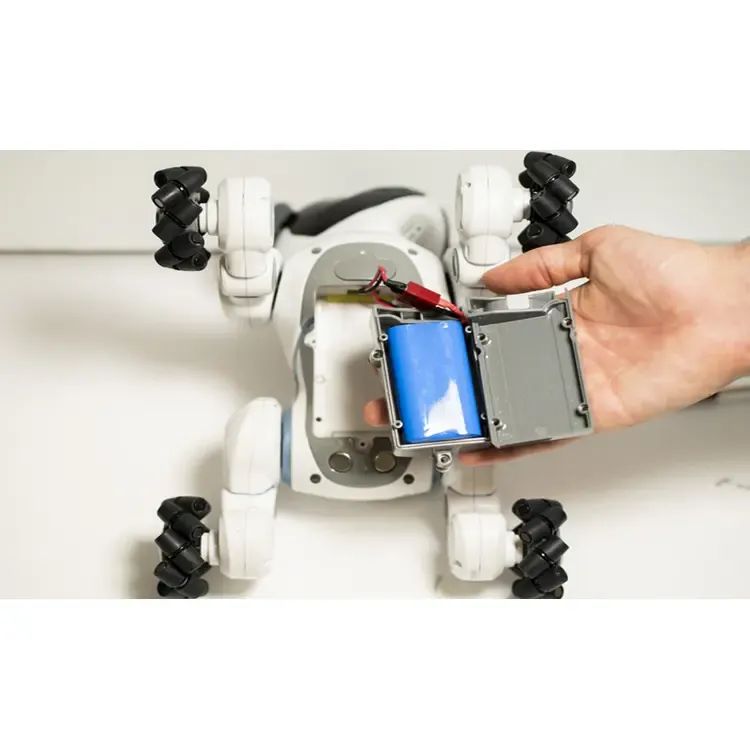 Intelligent Robotic Systems