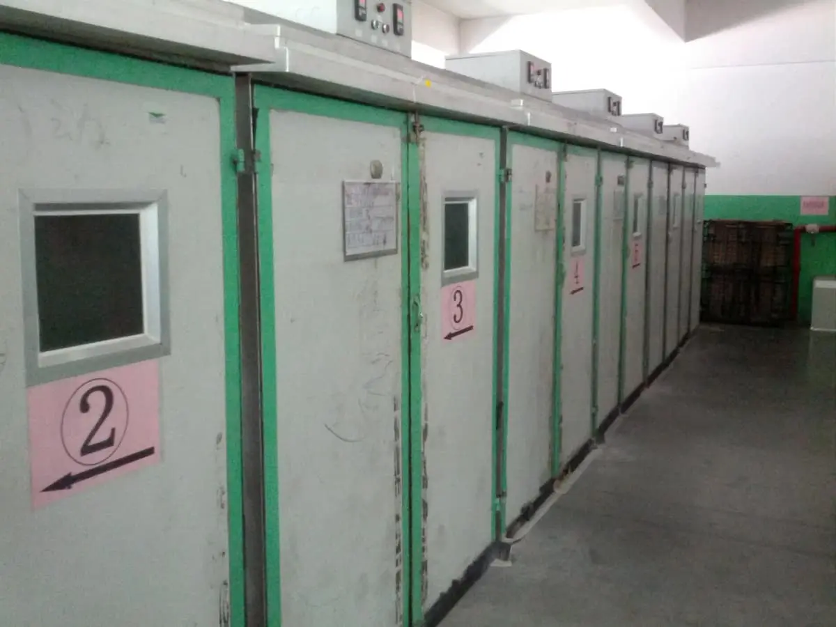 Cells bake under compression for several hours.